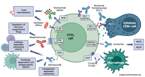 Figure 1 Cell surface targets and mechanisms of action of monoclonal antibodies in current use or under investigation in CTCL. Created with BioRender.com.