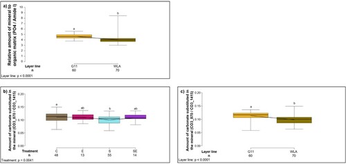 Figure 8. Infrared spectroscopy of the cortical bone. Each boxplot represents the median, first and third quartile, and minimum and maximum of (a) the relative amount of mineral to organic matrix (PO4/Amide I), i.e. the degree of mineralization of the cortical bone of each layer line; (b) the amount of carbonate substituted in the mineral of the cortical bone (CO3_870 / CO3_1415) within each treatment group; (c) the amount of carbonate substituted in the mineral of the cortical bone (CO3_870 / CO3_1415) within each layer line. This value increases as the bone mineral matures. Boxplots with different letters are significantly different (P < 0.05). The black lines represent the model estimates. Numbers of hens that were included in the analysis are given under each boxplot. C: control hens (egg-laying), E: hens treated with oestradiol-17ß (egg-laying), S: hens treated with deslorelin acetate (non-egg-laying), SE: hens treated with deslorelin acetate and oestradiol-17ß (non-egg-laying); G11: low performing layer line, WLA: high performing layer line.