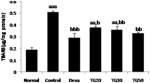 Figure 5. Lipid peroxidation (LPO) levels as thiobarbituric acid reacting substances (TBARS) in colon. Values are mean ± SEM. Dexa, dexamethasone; TG20, T. graminifolius at dose of 20 mg/kg; TG30, T. graminifolius at dose of 30 mg/kg; TG50, T. graminifolius at dose of 50 mg/kg. aSignificantly different from the Normal group at p < 0.05. bSignificantly different from the control group at p < 0.05. cSignificantly different from the Dexa group at p < 0.05. aaSignificantly different from the Normal group at p < 0.01. bbSignificantly different from the control group at p < 0.01. ccSignificantly different from the Dexa group at p < 0.01. aaaSignificantly different from the Normal group at p < 0.001. bbbSignificantly different from the control group at p < 0.001. cccSignificantly different from the Dexa group at p < 0.001.
