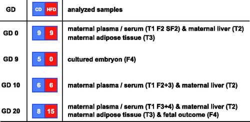 Figure 1. Layout of study. The gestational day (GD) when the different pregnancies are interrupted is displayed in the first column. The number and types of pregnant rats (CD: control diet; HFD: high fat diet) are displayed in the second column. The samples analyzed are displayed in the third column. T1, 2 and 3 denote Tables 1–3, whereas F2, 3, 4 and SF2 denote Figures 2–4 and Supplementary Figure 2 available online.