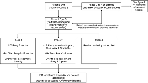 Figure 1 Algorithm for the monitoring of patients with chronic hepatitis B.