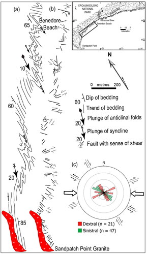 Figure 22. Fold form surface map and major fault pattern from the Benedore River to the Sandpatch Point Granite. The inset shows the location. (a) Outcrop-scale Z-shaped folds that plunge south and are progressively rotated to a north–south orientation, which parallels the contact with the Sandpatch Point Granite. Note the difference in fold style to that in Figure 21. (b) Map-scale pattern of the more prominent faults. (c) Rose diagram highlighting the sense of shear and strike-direction associated with the major faults. The calculated paleostress was a near-east–west-trending compression postdating the regional folding event.