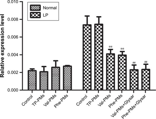 Figure 2 Quantitative real-time PCR for the PepT1 targeting on Caco-2 cells.Note: Data are represented as mean ± SD (n=3). **P<0.01 vs control in LP cells, ##P<0.01 vs Val-PMs or Phe-PMs in LP cells.Abbreviations: LP, leptin treated; PepT1, peptide transporter 1; Phe-PMs, Cur loaded phenylalanine – D-α-tocopheryl polyethylene glycol 1000 succinate micelles; PM, polymeric micelle; TP-PM, D-α-tocopheryl polyethylene glycol 1000 succinate micelle; Val-PMs, Cur loaded valine – D-α-tocopheryl polyethylene glycol 1000 succinate micelles.