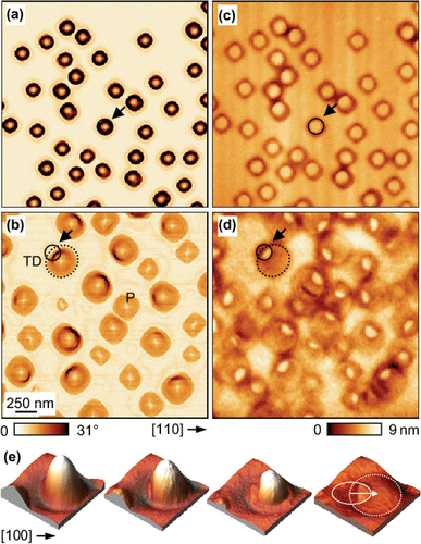 Figure 10. Representative AFM images of SiGe islands before (a), (b) and after selective removal of the SiGe layer (c), (d) of samples with 10 ML Ge grown at 740°C. In (a), (c) the surface was cooled to room temperature immediately after growth. In (b), (d) the sample was subject to a further annealing for 20 min at 740°C. (e) AFM images (440 × 440 nm2) of a SiGe island annealed for 10 minutes at 740°C (left side) and etched in NH4OH:H2O2 for (from left to right) 80 min, 170 min, and 620 min (adapted from Citation78).
