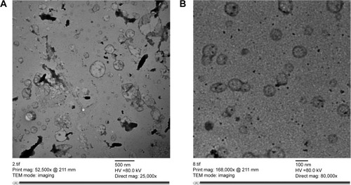 Figure 1 (A) Transmission electron micrographs of freshly prepared transferosomal vesicles (T3) when stained with uranyl acetate (10% w/w) with scale 500 nm. (B) Transmission electron micrographs of freshly prepared transferosomal vesicles (T3) when stained with uranyl acetate (10% w/w) with scale 100 nm (close up).