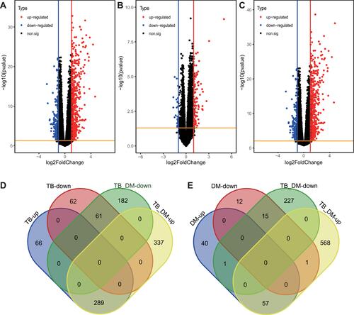 Figure 1 Identification of DEGs in TB, DM, and HC samples. (A) 478 significant DEGs detected in TB as compared to HC samples. (B) 126 significant DEGs detected in DM as compared to HC samples. (C) 869 significant DEGs detected in TB+DM as compared to HC samples. Red dots represent selected up-regulated genes and blue dots represent selected down-regulated genes. Black dots represent genes with no significant inter-group expression differences. (D) 350 DEGs shared by both TB and TB+DM groups. (E) 72 DEGs shared by both DM and TB+DM groups.