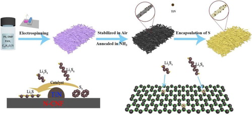 Figure 1. Schematic illustration of the synthesis process of the S@TiN/N-PCNFs electrode, the catalyst process of the LiPSs by TiN, and the adsorption process of the LiPSs by N-doped carbon.