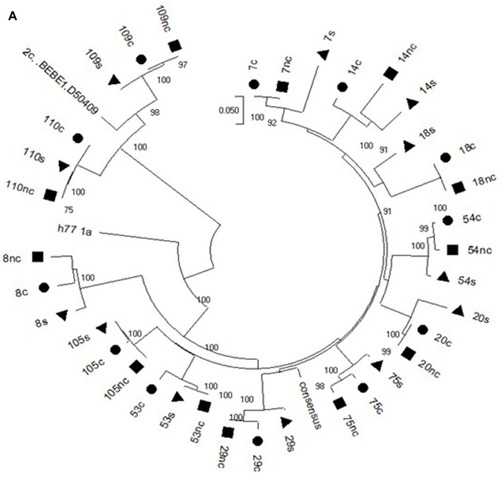 Figure 1 Continued.