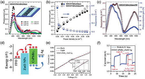 Figure 4. (a) Photocurrent spectra of different SWCNT/PbS-QDs hybrid devices made with QDs of different sizes, showing the responses in the NIR which can be tuned by varying the PbS-QDs size. (b) Comparison between the photocurrent and the corresponding responsivity of the SWCNT/MAPbI3-xClx hybrid and of the SWCNT/PbS-QDs/MAPbI3-xClx hybrid photodetectors as a function of the illumination power of a 980 nm laser. (c) Responsivity and photoconductive gain of the SWCNT/PbS-QDs/MAPbI3-xClx hybrid fabricated with PbS-QDs of 4.95 nm diameter measured with lamp power 10 times at 1 V [Citation59]. Copyright from 2018 Nanoscale. (d) Schematic diagram of energy levels of the CsPbBr3:ZnO photodetectors. (e) I–V curves of CsPbBr3:ZnO photodetectors. Insets showed the zoomed-in areas. (f) Photoresponse of the CsPbBr3:ZnO devices with external bias [Citation60]. Copyright from 2017 Sol. Energ. Mat. Sol. C.