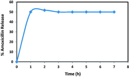 Figure 15. The amoxicillin release profile of NH2-SBA-15 sample.