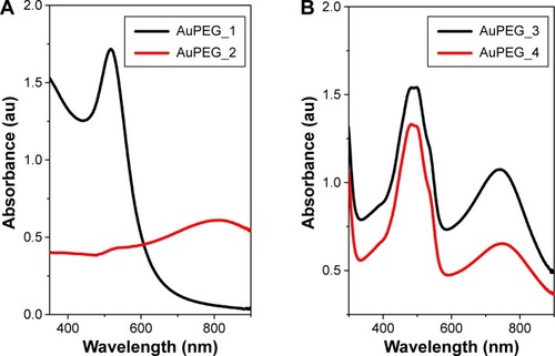 Figure 5 UV–vis absorption spectra of PEG-AuNPs.Notes: (A) Before (AuPEG_1) and after conjugation to anti-Kv11.1-pAb (AuPEG_2), and (B) before (AuPEG_3) and after (AuPEG_4) conjugation to anti-Kv11.1-pAb.Abbreviations: PEG, polyethylene glycol; AuNPs, gold nanoparticles; AuPEG, PEG-coated AuNPs.