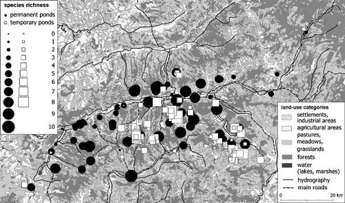 Figure 4 The distribution of the permanent and temporary ponds according to amphibian species richness.