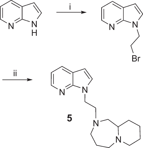 Scheme 1.  Reagents and conditions: (i) 1,2-dibromoethane, K2CO3, Bu4NBr, H2O, 100°C, 12 h, 93%; (ii) decahydropyrido[1,2-a][1,4]diazepine, K2CO3, KI, MeCN, 60°C, 12 h, 44%.