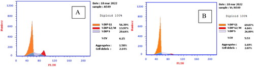 Figure 7. (A) Cell cycle analysis of A549 treated with DMSO only, (B) Cell cycle analysis of A549 after treatment with 4c for 24 h and 48 h.