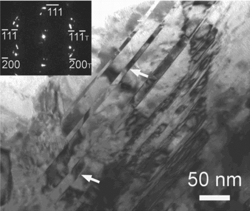 Figure 1. Typical bright-field TEM images of a grain with high density of deformation nanotwins in UFG Cu that was subjected to ECAP and subsequent cryogenic rolling.[Citation12]