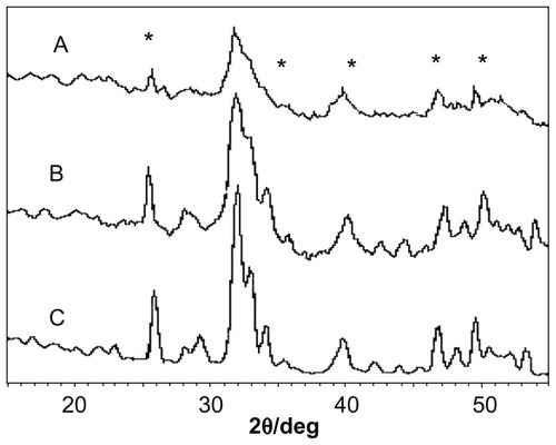 Figure 1 X-ray diffraction spectra of (A) fresh nanoapatite precipitate, (B) nanoapatite prepared from hydrothermal reaction at 70°C and ambient pressure for 2 hours, and (C) nanoapatite prepared from hydrothermal reaction at 70°C and ambient pressure for 4 hours.Notes: No aging in any cases. *Represents apatite peaks.