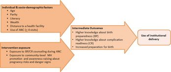 FIGURE 1 Conceptual model of causal pathway between intervention exposure, intermediate outcomes, and behavioral outcomes.