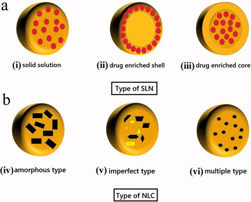 Figure 1. Types of (a) solid lipid nanoparticles: (i) solid solution, (ii) drug enriched shell, and (iii) drug enriched core; (b) nanostructured lipid carriers: (iv) amorphous type, (v) imperfect type, and (vi) multiple type.