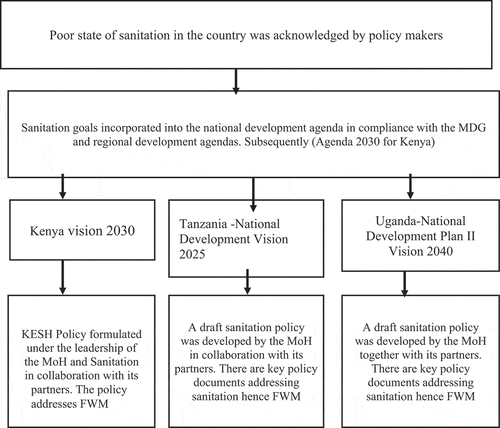 Figure 1. A summary of the policy process in Kenya, Tanzania and Uganda.