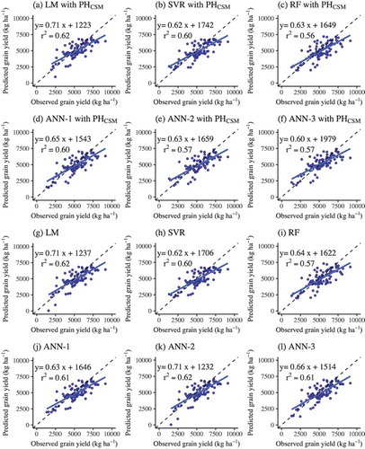 Figure 1. Relationships between observed and predicted grain yield derived from machine learning approaches: (a) LM, (b) SVR, (c) RF, (d) ANN-1, (e) ANN-2, and (f) ANN-3 with predictor variables of PHCSM and reflectance, and (g) LM, (h) SVR, (i) RF, (j) ANN-1, (k) ANN-2, and (l) ANN-3 with predictor variables of reflectance. The solid lines represent regression lines. The broken lines represent the 1:1 relationships. The graphs include the r2 and regression equations