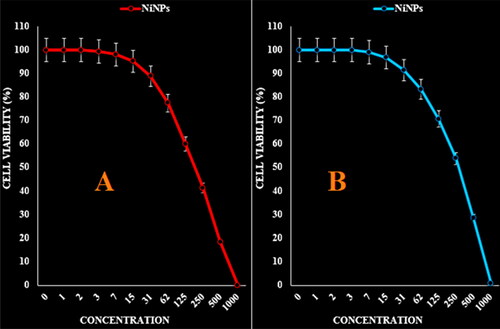Figure 6. The anti-ovarian cancer properties (cell viability (%)) of NiNPs (concentrations of 0–1000 µg/mL) against OVCAR-3 (A) and ES-2 (B) cell lines.