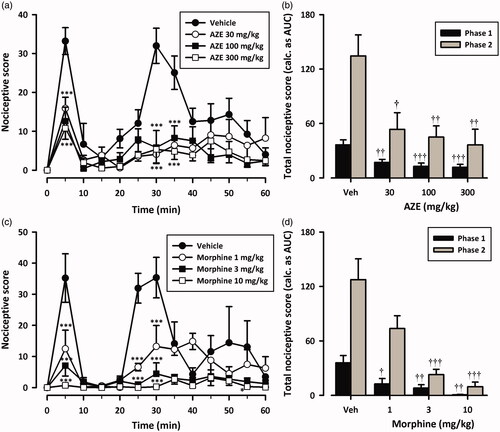 Figure 4. Dose–response effects of AZE (30–300 mg/kg, p.o.) (a, b) and morphine (1–10 mg/kg, i.p.) (c, d) on formalin-induced nocifensive behaviours in rats. Left panels show the time course of effects over the 60 min period and the right panels show the total nociceptive score calculated from AUCs over the first (0-10 min) and second (10–60 min) phases. Nociceptive scores are shown in 5 min time blocks up to 60 min post-formalin injection. Values are means ± S.E.M. (n = 5). *p < 0.05; ***p < 0.001 compared to vehicle-treated group (Two-way ANOVA followed by Tukey’s multiple comparison test). †p < 0.05; ††p < 0.01; †††p < 0.001 compared to vehicle-treated group (One-way ANOVA followed by Tukey’s multiple comparison test).