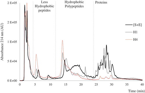 Figure 1. The RP-HPLC profiles of A: sarcoplasmic proteins plus BSY proteases [S+E] without hydrolysis; B: SPH presenting HR = 9.3 % (25ºC, 1.50 h); and C: SPH presenting HR = 83% (50ºC, 7.00 h). RP-HPLC chromatograms are divided into three fractions: “less hydrophobic peptides” (eluted between 4 and 12 min); “hydrophobic polypeptides” (eluted between 12.1 and 23.9 min) and “proteins” (eluted between 24 and 33 min). Hydrolysis rate (HR%) determination was based on the measurement of “proteins” fraction before and after hydrolysis.
