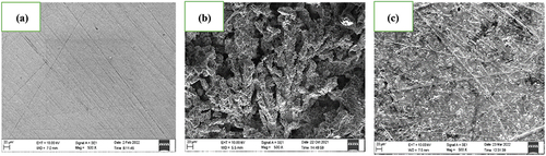 Figure 10. SEM pictures of (a) Finely polished 6061 aluminum alloy, (b) 6061 aluminum alloy + 0.25 mol/L HCl (c) 6061 aluminum alloy + 0.25 mol/L HCl + 1000 ppm of DIDP.