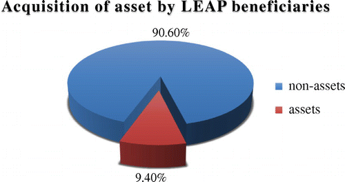 Figure 1. LEAP cash ability to provide livelihood assets for economic activity.