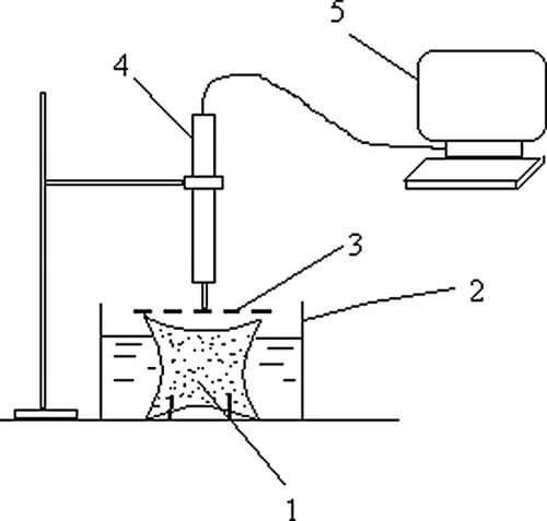 Figure 1 Experimental stand for measuring cubes height during rehydration. 1—rehydrated material; 2— vessel with water; 3—perforated plate; 4—minimal displacement gauge; 5—computer.