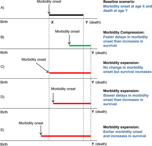 Fig. 1 Models of compression/expansion of morbidity.