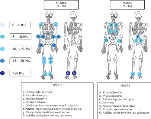 Figure 1. Distribution of enthesitis among patients evaluated with SPARCC and MASES at the initiation of the first tumour necrosis factor inhibitor (TNFi). SPARCC, Spondyloarthritis Research Consortium of Canada enthesitis scoring system; MASES, Maastricht Ankylosing Spondylitis Enthesitis Score. The colours of the circles indicate the proportion (percentage) of examined entheses with enthesitis at the initiation of the first TNFi. The letters in the circles refer to the individual entheses.