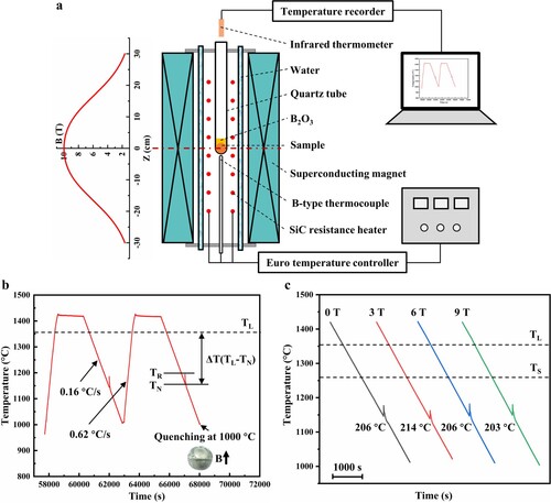 Figure 1. (a) Schematic illustration of the experimental facility for undercooling and solidification of alloys under high magnetic field. (b) An example of the temperature-time profile obtained by an infrared pyrometer. The heating rate is 0.62 °C/s, and the cooling rate is 0.16 °C/s. The required undercooling is achieved through repeated melting/freezing cycles. (c) Cooling and recalescence curves of the IN718 alloy showing approximately the same undercooling under different high magnetic fields.