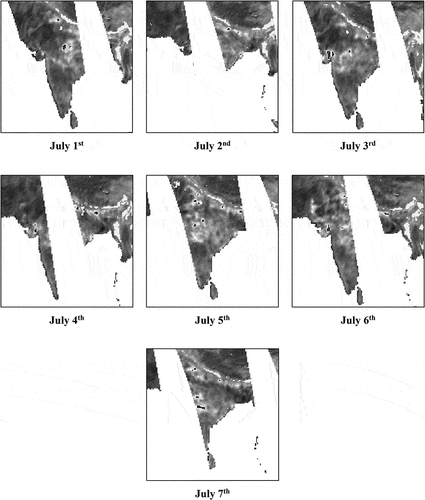 Figure 3. Ascending pass scenes depicting swaths of soil moisture data of India recorded from 1 July 2003 to 7 July 2003.