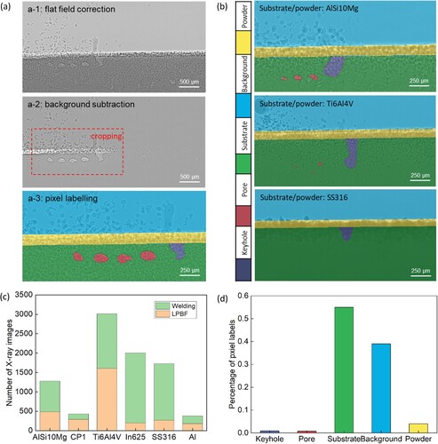 Figure 2. X-ray imaging benchmark database for model training and testing: (a) pipeline of image processing, including: flat field correction, background subtraction, image cropping, and pixel labelling; (b) examples of manually pixel-wise labelled X-ray images collected from LPBF and welding experiments; (c) distributions of X-ray images related to different substrate and powder materials; and (d) percentages of individual pixel labels in the benchmark database.