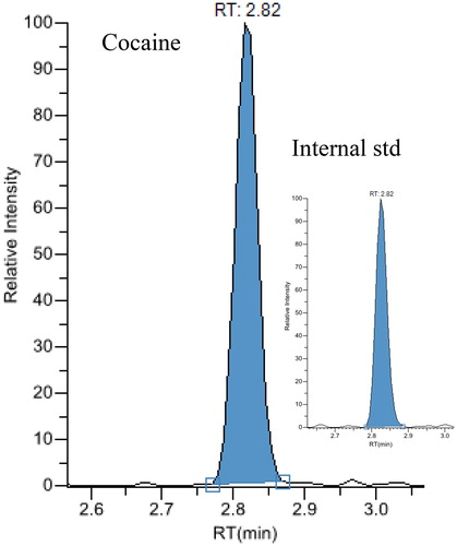 Figure 2. Chromatograms from liquid chromatography-tandem masspectrometry analysis of an exhaled breath extract containing 856 pg cocaine.