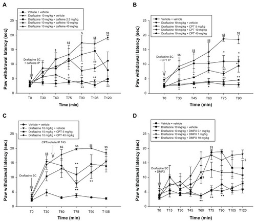 Figure 4 (A) Effect of caffeine at various doses (2.5–40 mg/kg) on the antihyperalgesic effect of draflazine (10 mg/kg) in the CFA-induced thermal hyperalgesia model. Caffeine was injected intraperitoneally immediately after subcutaneous injection of draflazine at time point T0. Shown are the mean and standard error of the mean values for thermal paw withdrawal latency in seconds for the inflamed left paws; 5–7 animals per dose group were tested. First, the draflazine + vehicle group was compared with the vehicle + vehicle group using the Wilcoxon-Mann-Whitney test. $P < 0.05; $$P < 0.01. Comparisons were then made between the draflazine + caffeine dose groups and the draflazine + vehicle group using the Wilcoxon-Mann-Whitney test, with correction for repeated measures. *P < 0.05; **P < 0.01. (B) Effect of adenosine A1 antagonist, CPT, at various doses (5–40 mg/kg) on the antihyperalgesic effect of draflazine (10 mg/kg) in the CFA-induced thermal hyperalgesia model. CPT was injected intraperitoneally immediately after subcutaneous injection of draflazine at time point T0. Shown are the mean and standard error of the mean values for thermal paw withdrawal latency in seconds for the inflamed left paws; 5–7 animals per dose group were tested. First, the draflazine + vehicle group was compared with the vehicle + vehicle group using the Wilcoxon-Mann-Whitney test. $P < 0.05; $$P < 0.01. Comparisons were then made between the draflazine + CPT dose groups and the draflazine + vehicle group using the Wilcoxon-Mann-Whitney test, with correction for repeated measures. *P < 0.05; **P < 0.01. (C) Effect of A1 adenosine antagonist, CPT, in various doses (5–40 mg/kg) on the antihyperalgesic effect of draflazine (10 mg/kg) in the CFA-induced thermal hyperalgesia model. CPT was injected intraperitoneally 45 minutes after subcutaneous injection of draflazine at T0. Shown are the mean and standard error of the mean values for thermal paw withdrawal latency in seconds for the inflamed left paws; 5–7 animals per dose group were tested. First, the draflazine + vehicle group was compared with the vehicle + vehicle group using the Wilcoxon-Mann-Whitney test. $P < 0.05; $$P < 0.01. Comparisons were then made between the draflazine + CPT dose group and the draflazine + vehicle group using the Wilcoxon-Mann-Whitney test, with correction for repeated measures.*P < 0.05; **P < 0.01. (D) Effect of A2 antagonist, DMPX, at various doses (0.1–10 mg/kg) on the antihyperalgesic effect of draflazine (10 mg/kg) in the CFA-induced thermal hyperalgesia model. CPT was injected intraperitoneally immediately after subcutaneous injection of draflazine at time point T0. Shown are the mean and standard error of the mean values for thermal paw withdrawal latencies in seconds for the inflamed left paws; 5–7 animals per dose group were tested. First, the draflazine + vehicle group was compared with the vehicle + vehicle group using the Wilcoxon-Mann-Whitney test. $P < 0.05; $$P < 0.01. Comparisons were then made between the draflazine + DMPX dose group and the draflazine + vehicle group using the Wilcoxon-Mann-Whitney test, with correction for repeated measures.*P < 0.05; **P < 0.01.