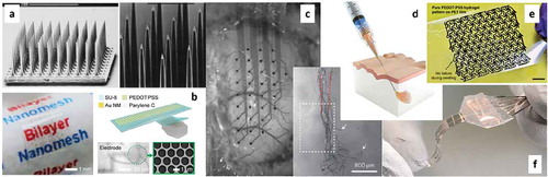 Figure 4. (a) Typical penetrating electrodes (Utah array); (b) Nanomesh electrodes copyright science advances [Citation89]; (c) Ultra-flexible polyimide-based MEAs covering the whole hemisphere of a rat brain, copyright scientific reports [Citation96]; (d) Syringe-injectable electronics copyright nature nanotechnology [Citation87]; (e) Pure PEDOT:PSS hydrogels copyright nature communications [Citation97]; (f) Electronic dura made in stretchable PDMS Copyright Science [Citation31] .