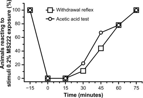 Figure 2 Percentage of adult axolotls (n=9; six females and three males) reacting to the acetic acid test and withdrawal reflex following a 20-minute 0.2% MS222 immersion bath.