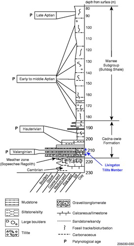 Figure 18. Litholog for Yalkalpo 1 drill hole showing the stratigraphic position of the Livingston Tillite Member and the ages derived by palynological dating.