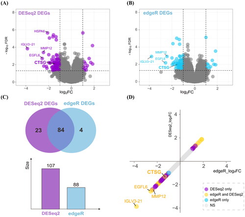 Figure 1. Differentially expressed analysis in the immature AVFs compared to the mature. (A and B) Volcano plots of DEGs using DESeq2 (A) and edgeR (B) method. (C) Venn diagram summarizing the differential and overlapping DEGs. (D) Plot of fold changes of significant DEGs in DESeq2, edgeR, and both methods. DEGs: differentially expressed genes; AVF: arteriovenous fistula.