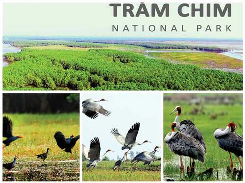 Figure 1. The diversity of ecosystems in Tram Chim national park.