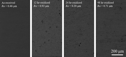 Figure 7. Laser microscope photographs of oxidized and non-oxidized SS304 specimens. The photographs of oxidized specimens were taken after re-polishing the oxidized layer.