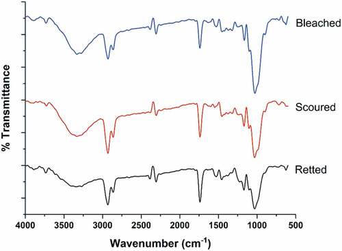 Figure 3. FTIR spectra of retted CHF, scoured CHF and bleached CHF.