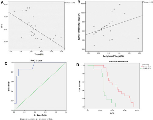 Figure 4 Tumor-infiltrating Tregs (A) correlation with DFS, (B) correlation with peripheral Tregs, (C) accuracy of prediction of DFS period (≥3 years) using ROC curve and (D) differences in DFS according to the cutoff value of Tregs.