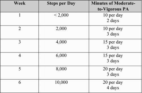 Figure 1. Example exercise progression over six weeks (provided to participants).