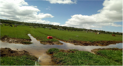 Figure 2 Specific sample collection sites.