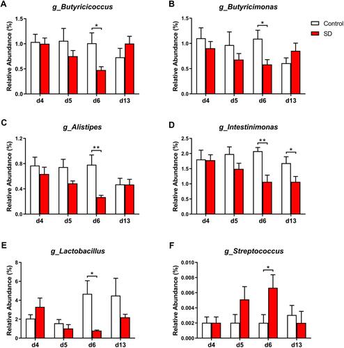 Figure 3 Effects of SD and recovery on the relative abundance of gut microbiota at the genus level, including (A) g_Butyricicoccus, (B) g_Butyricimonas, (C) g_Alistipes, (D) g_Intestinimonas, (E) g_Lactobacillus, and (F) g_Streptococcus. The data are expressed as mean ± SEM. *p < 0.05, **p < 0.01.