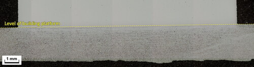 Figure 13. Macrograph showing interface region as being mainly below the level of building platform.