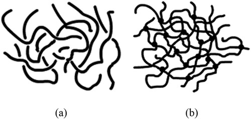 Figure 4. Schematic representation of the molecules of (a) the uncrosslinked polymer and (b) the crosslinked polymer (links are pictured as knots), adapted from Mark et al. (Citation2013).